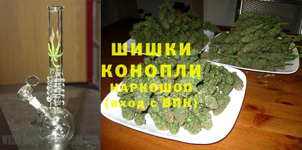 молекула духа Верхний Тагил
