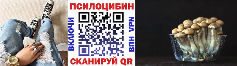 купить   Высоцк  Галлюциногенные грибы Cubensis 